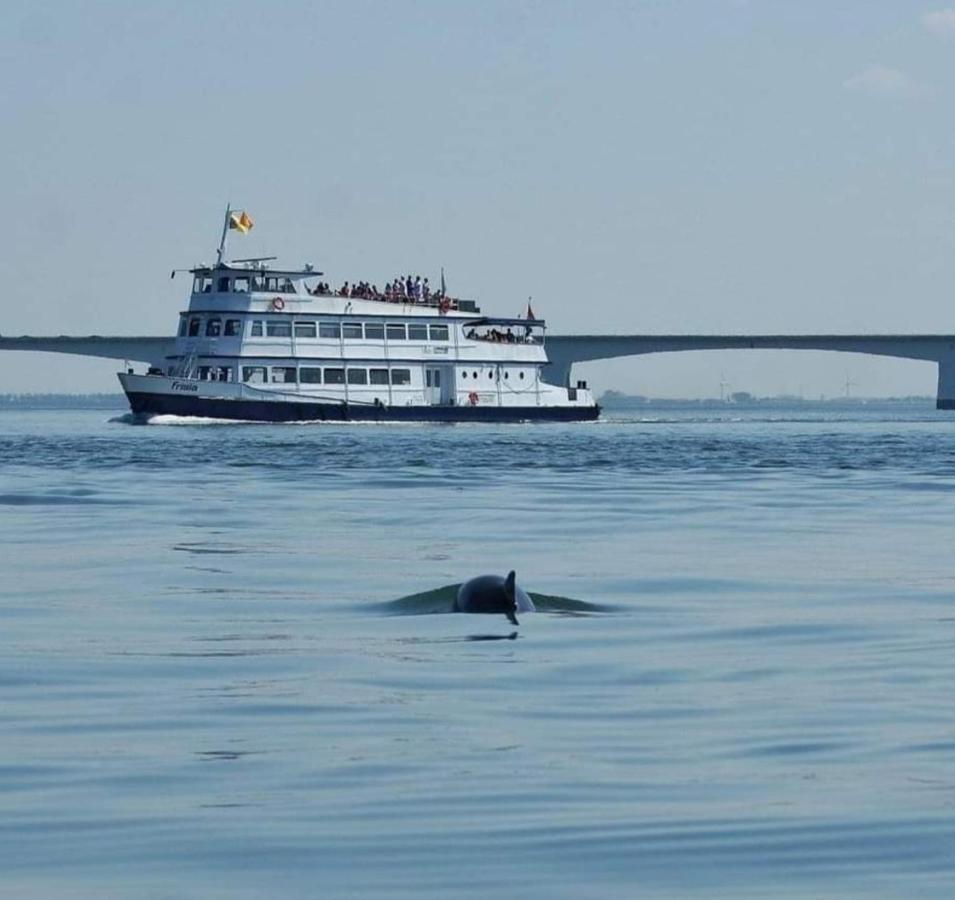 Nooit gedacht Villa Sint-Annaland Buitenkant foto